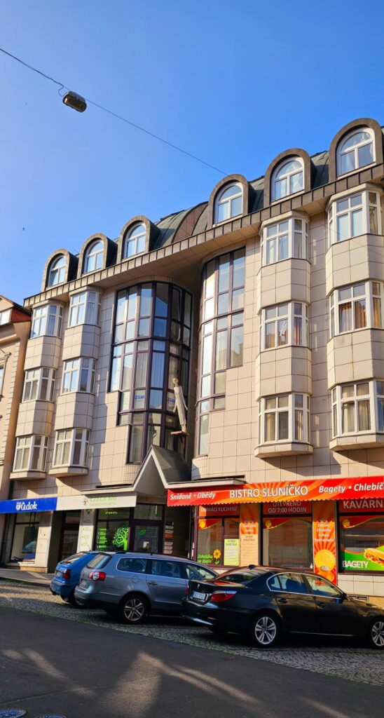 dr. davida bechera 23